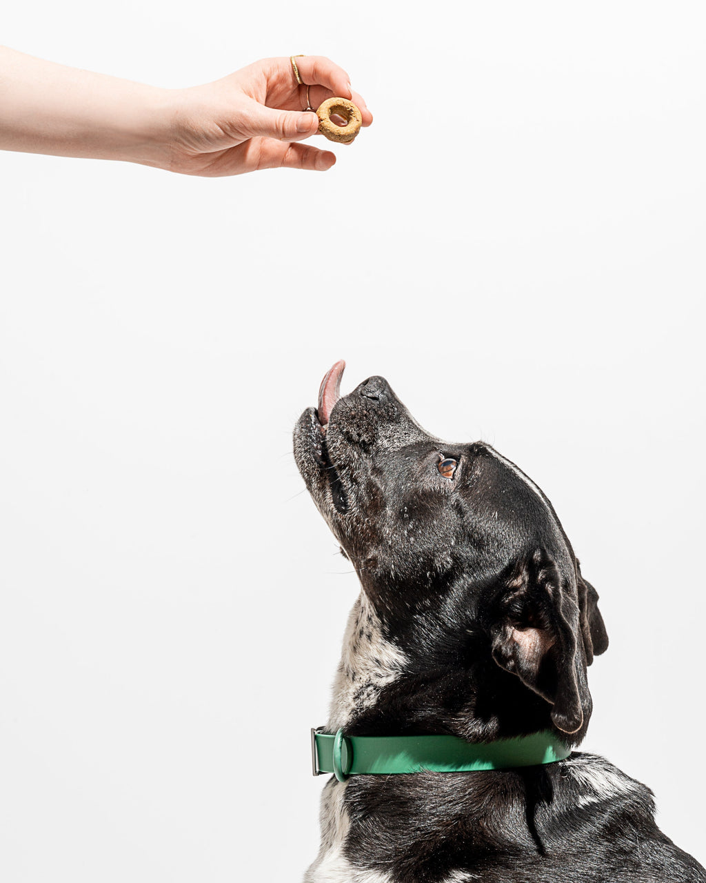 Organic Baked Treats