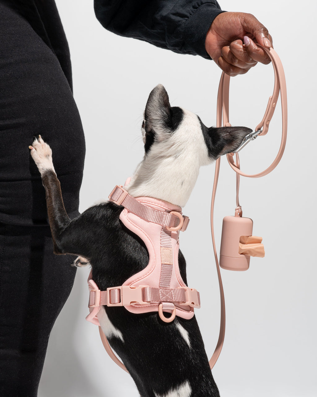 Cushioned Harness