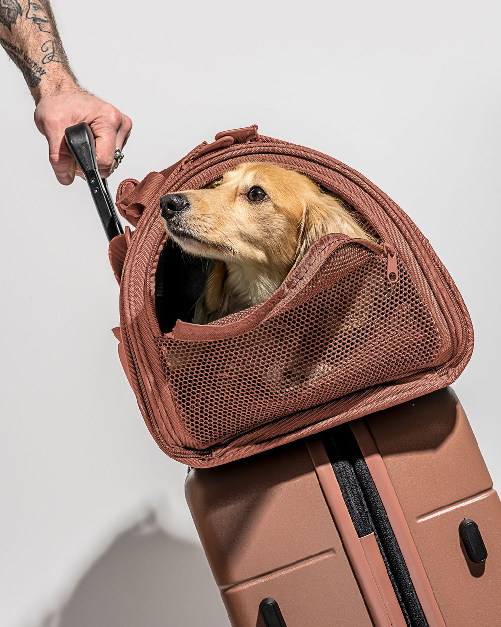 Travel Carrier