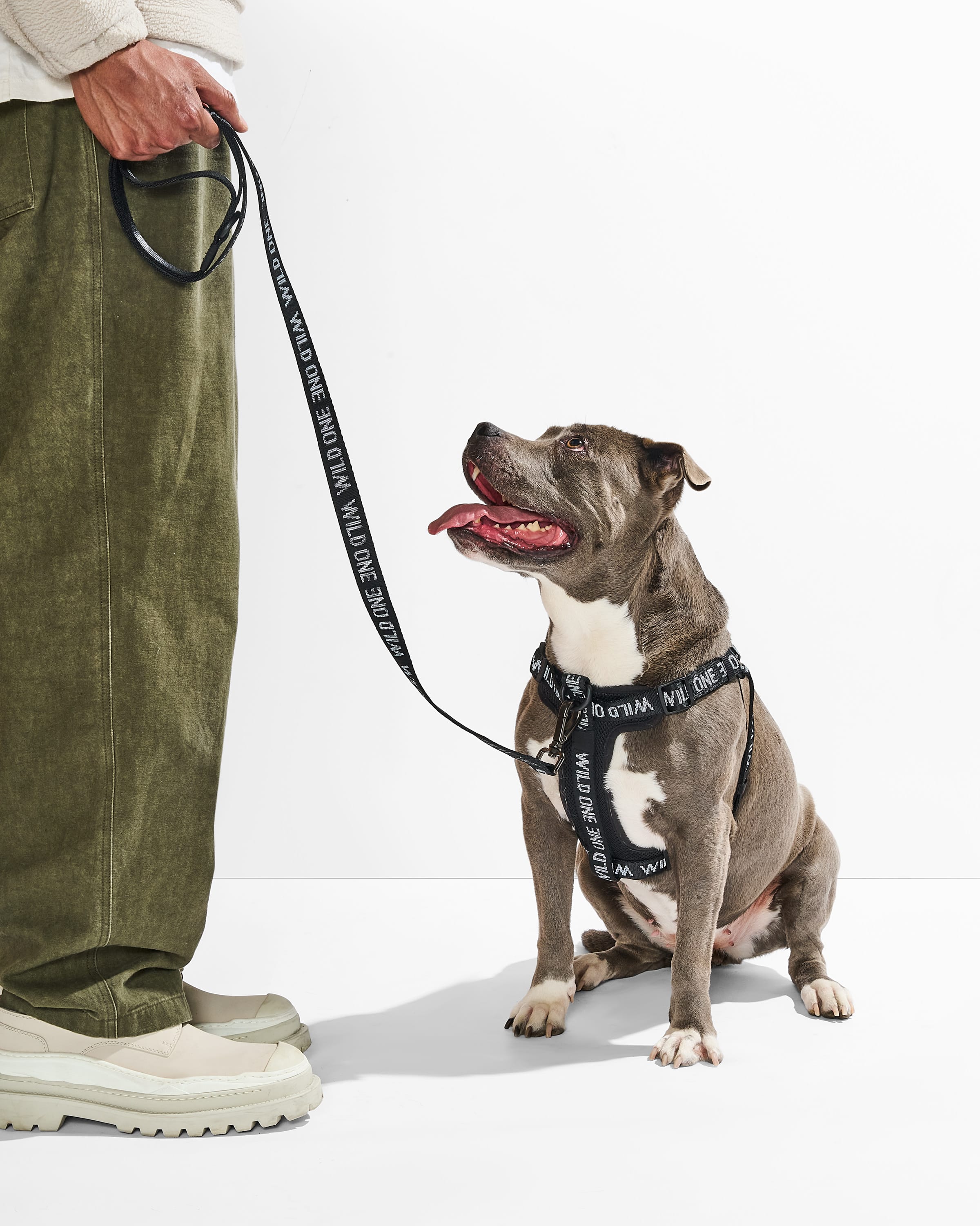Lightweight Nylon Leash