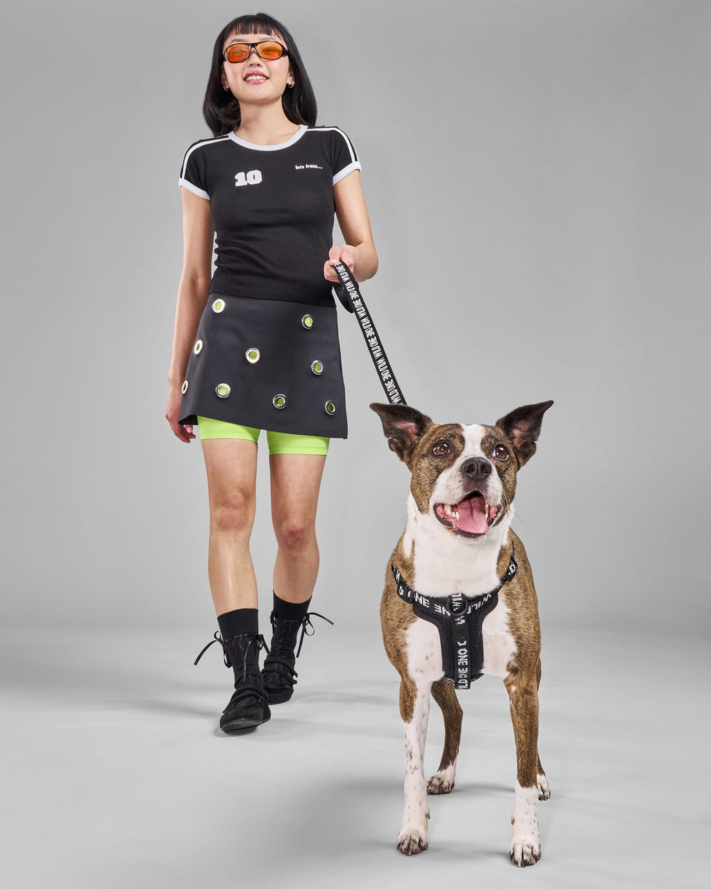 Lightweight Nylon Leash