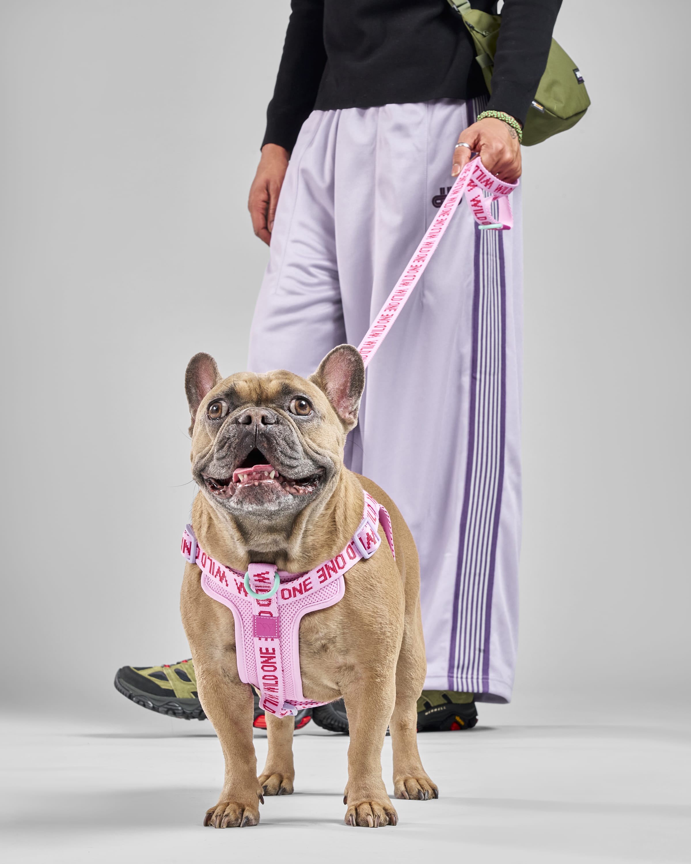 Lightweight Nylon Leash
