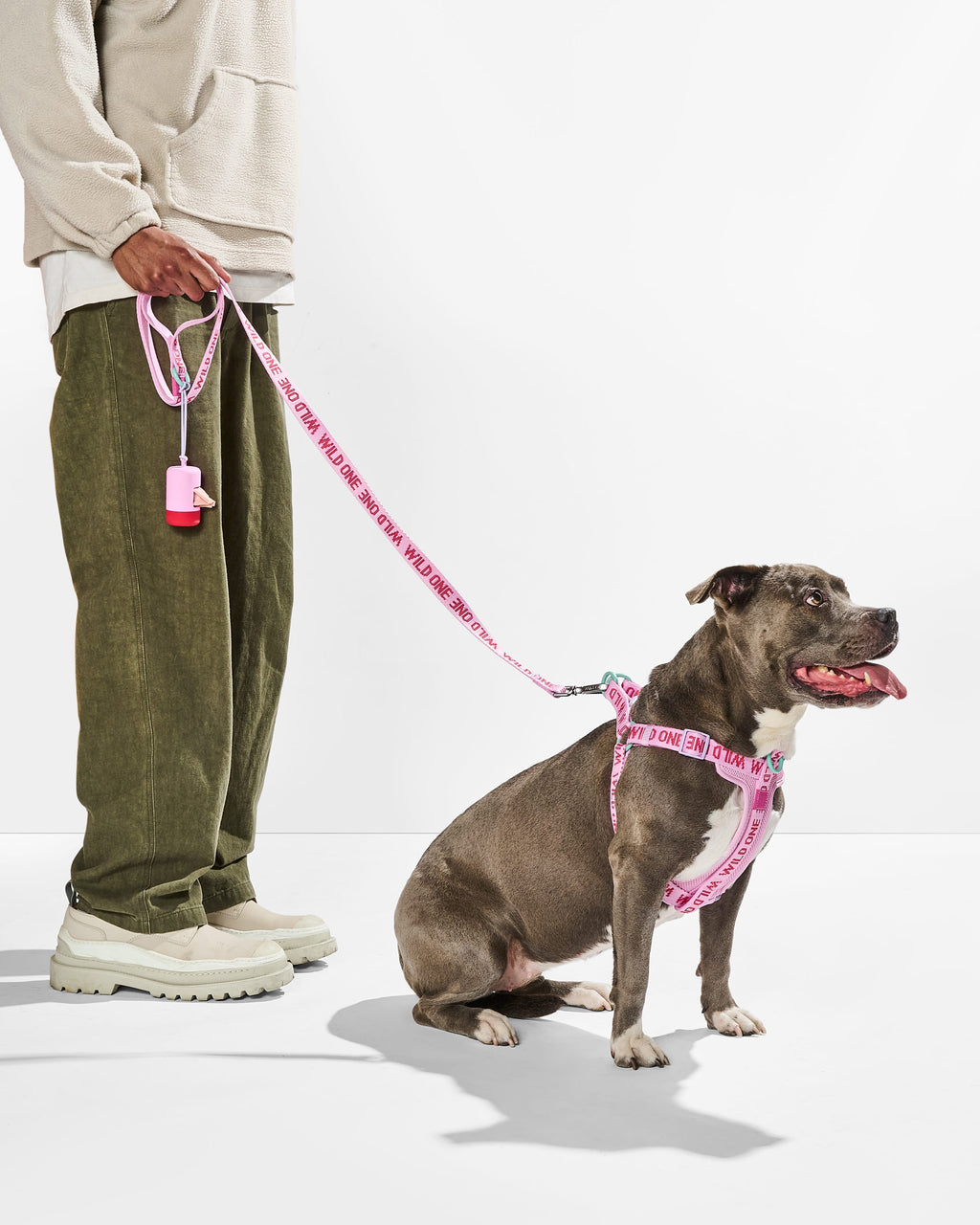 Lightweight Nylon Leash