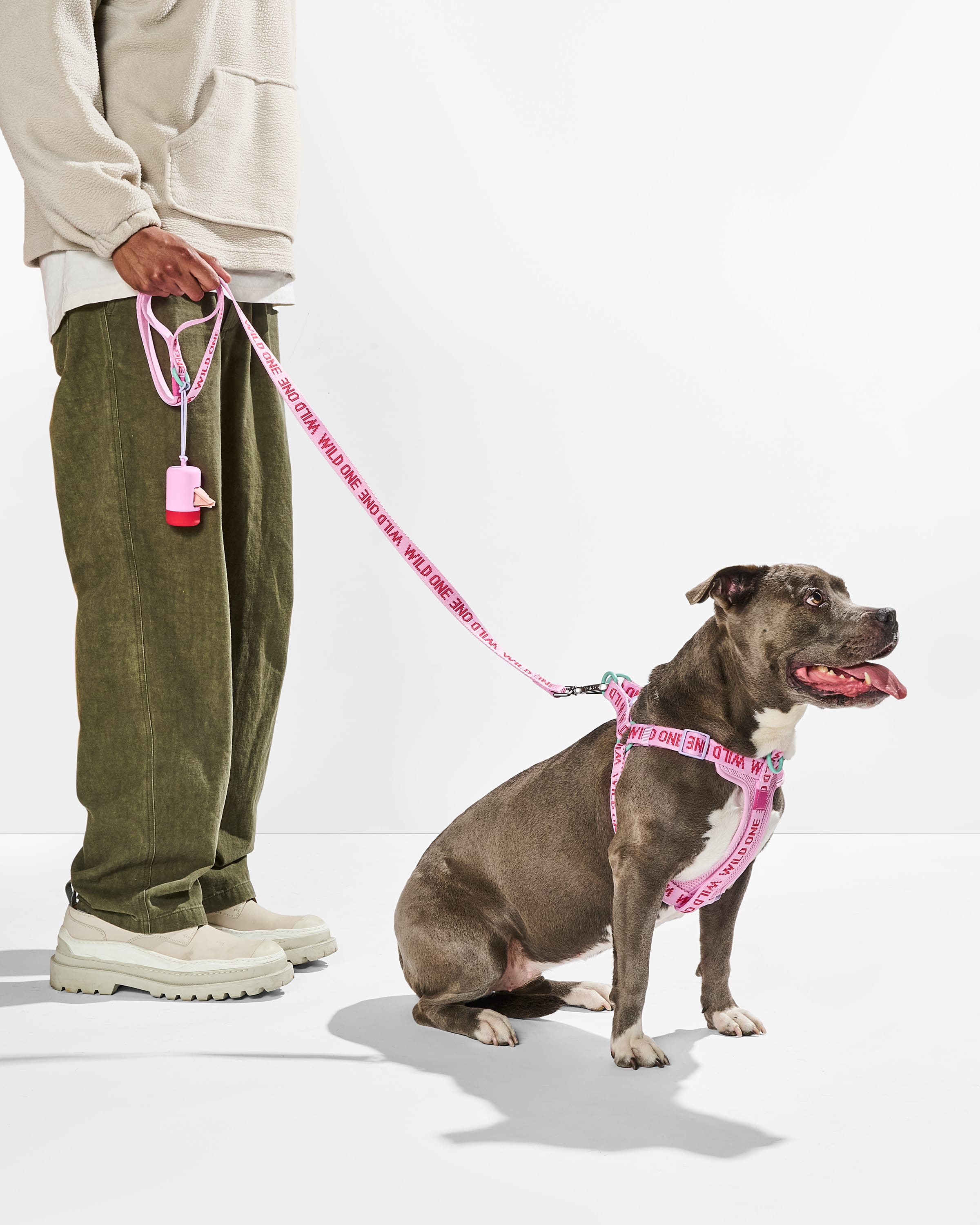 Lightweight Nylon Leash