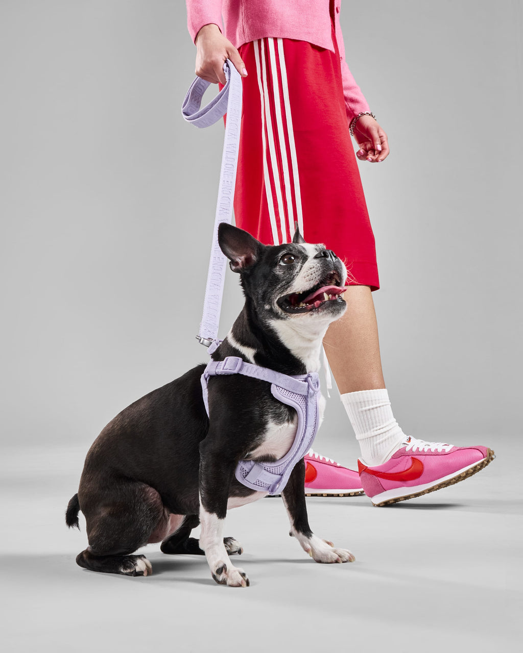 Lightweight Nylon Leash