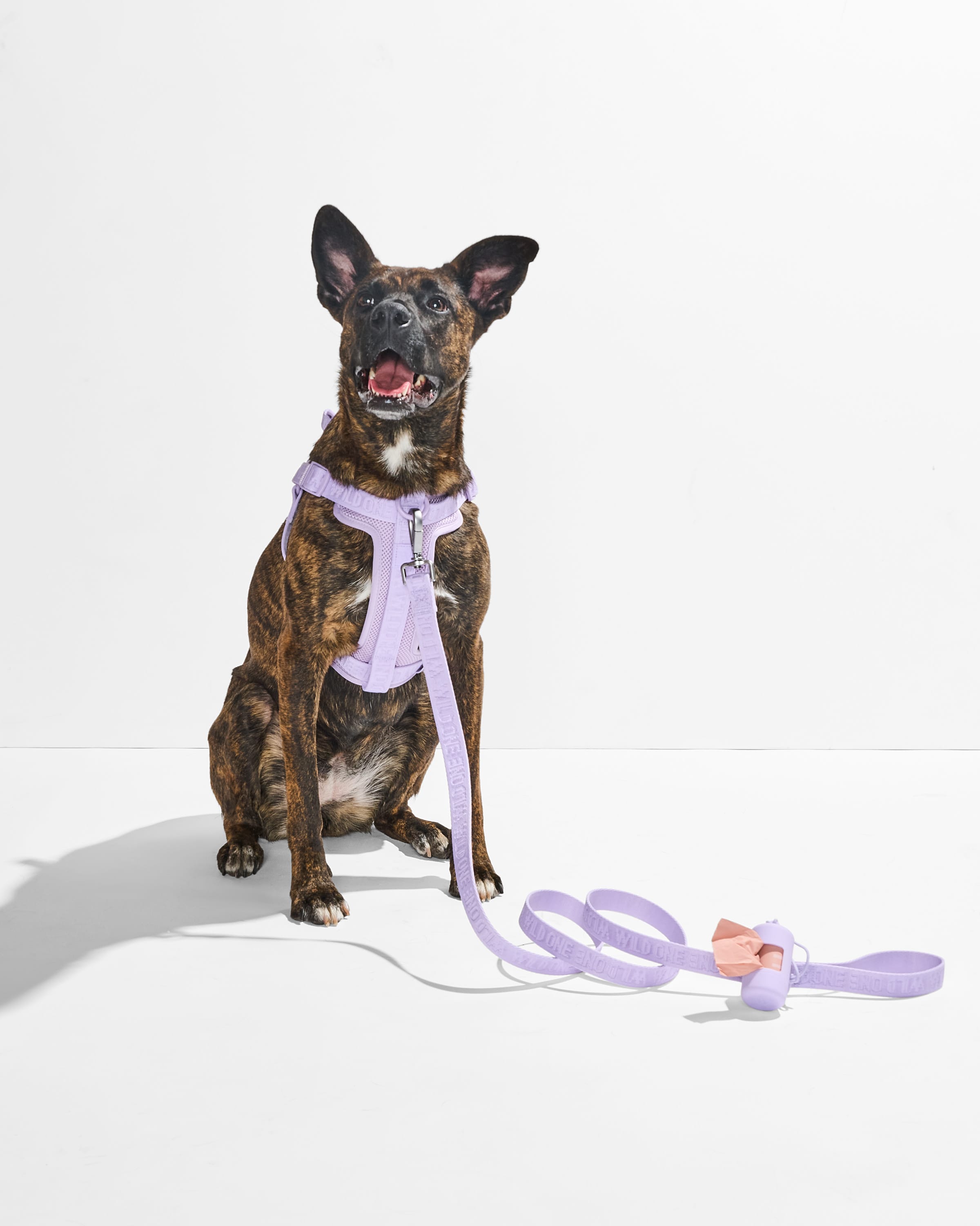 Lightweight Nylon Leash