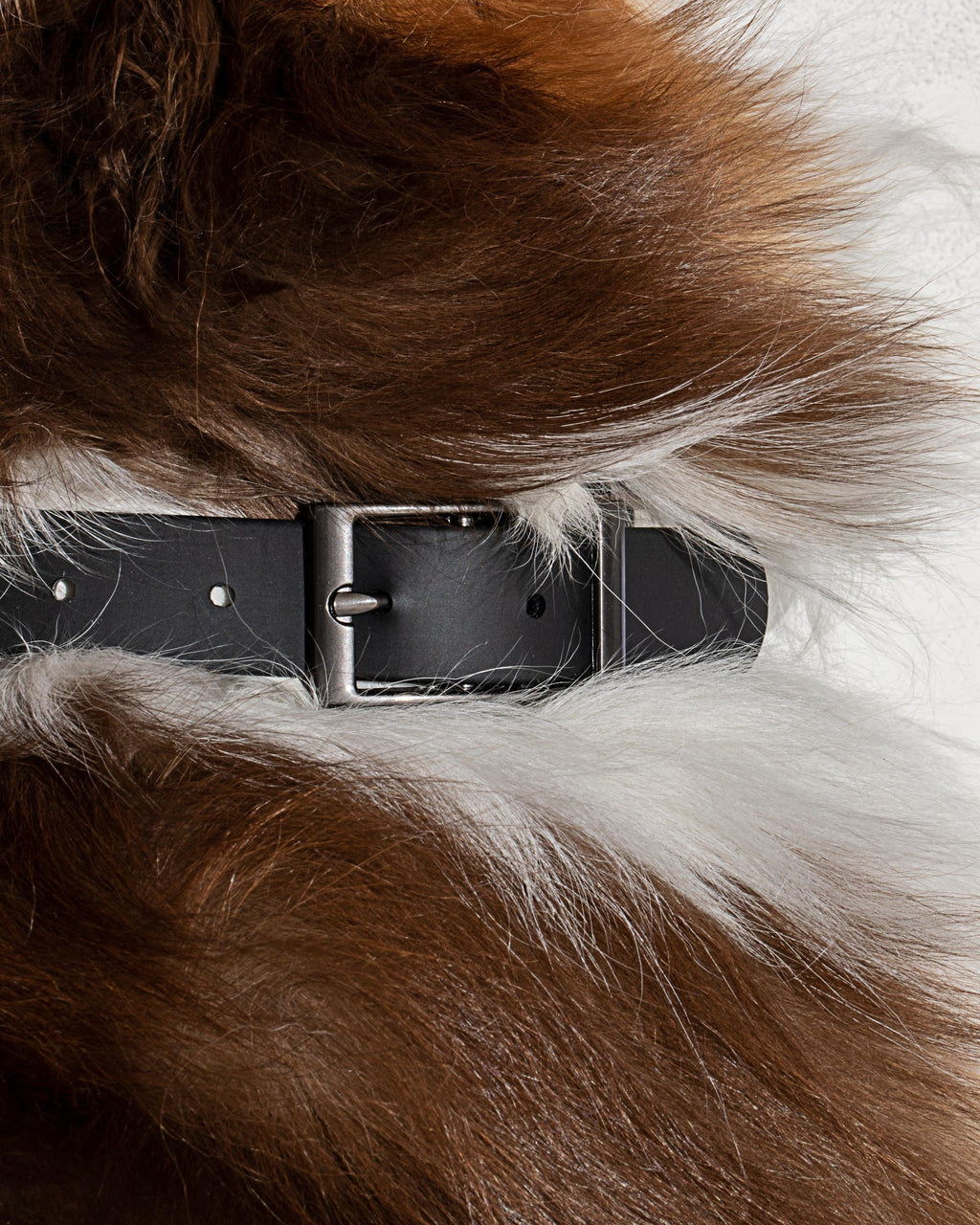 Waterproof Collar