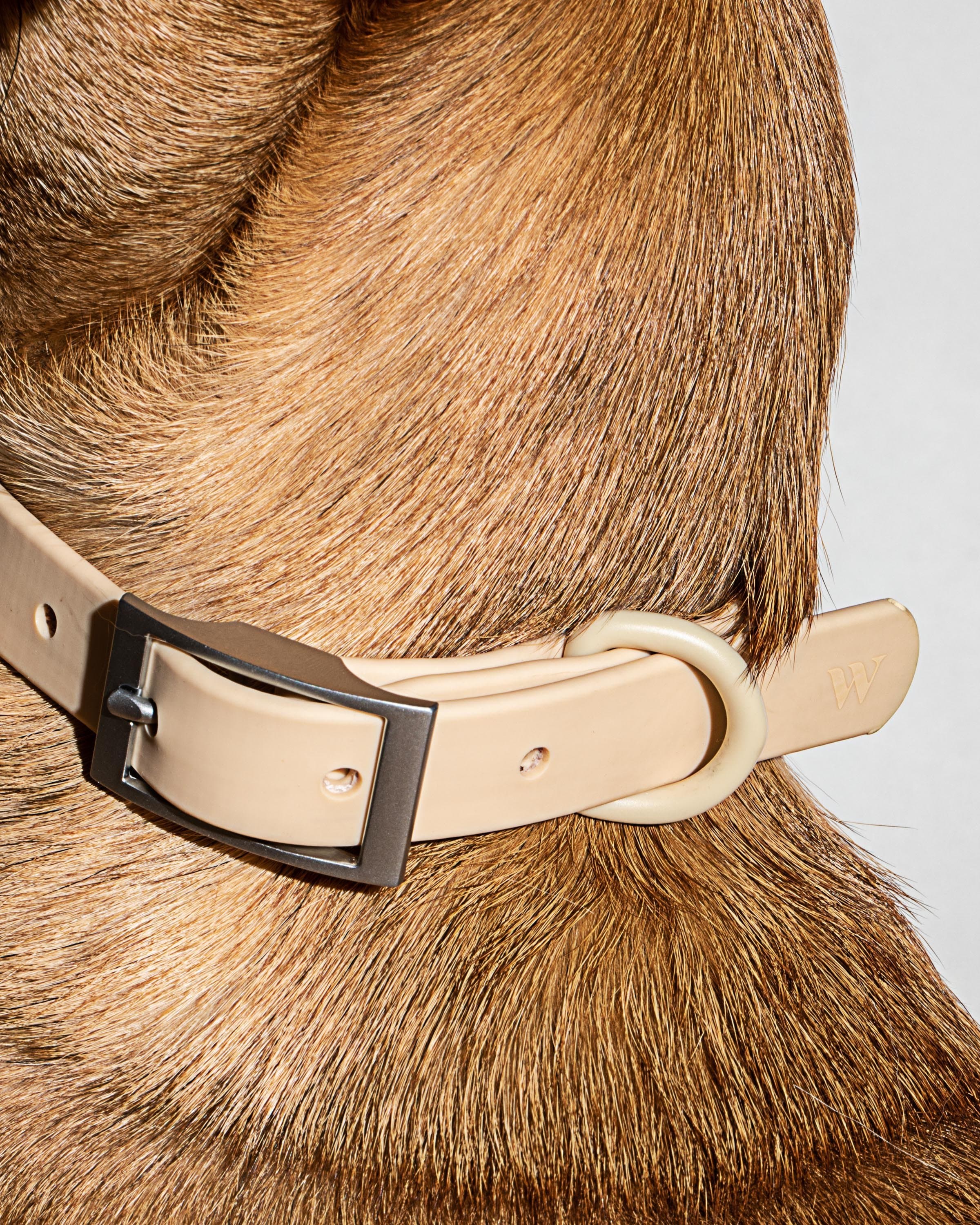 Waterproof Collar