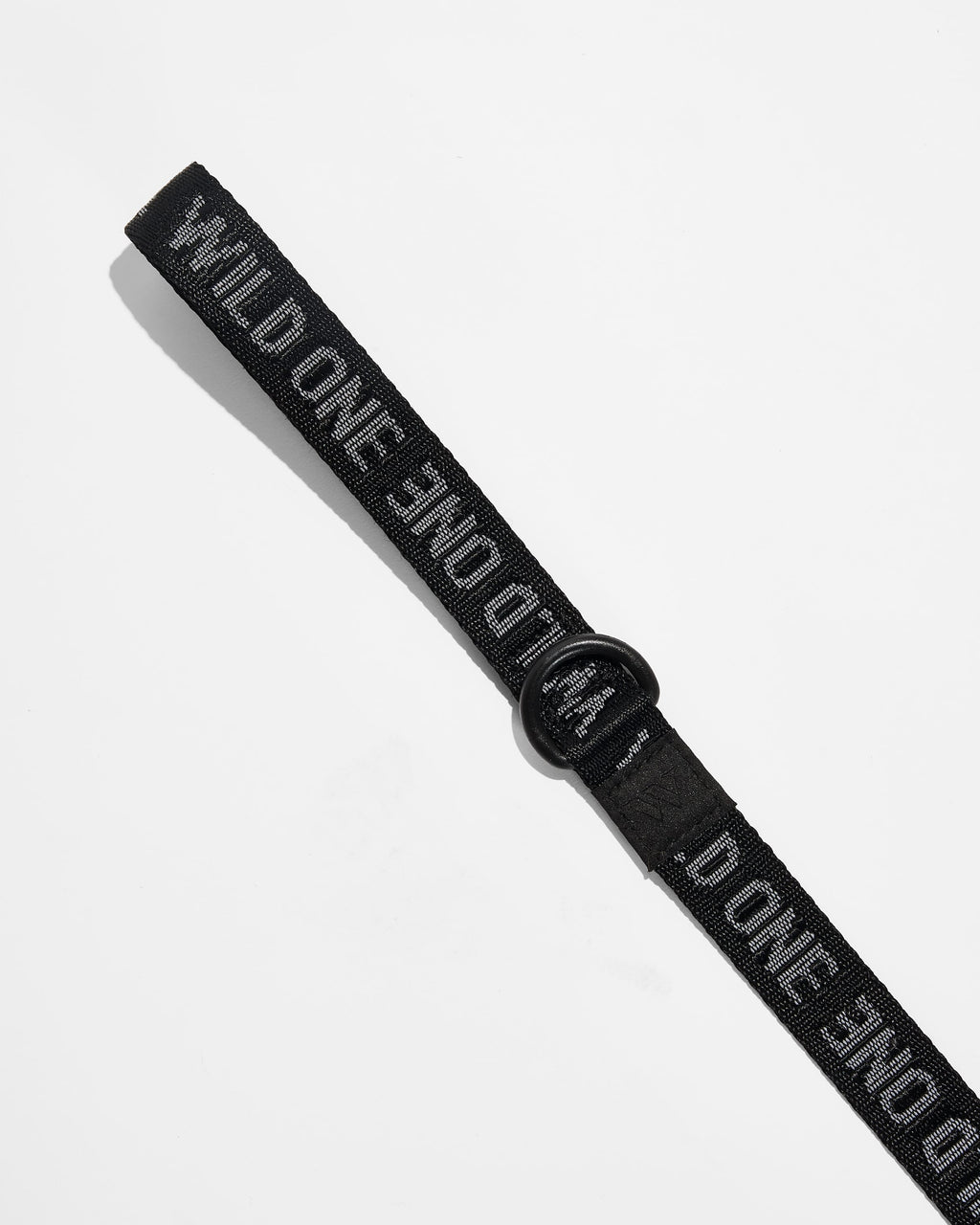 Lightweight Nylon Leash