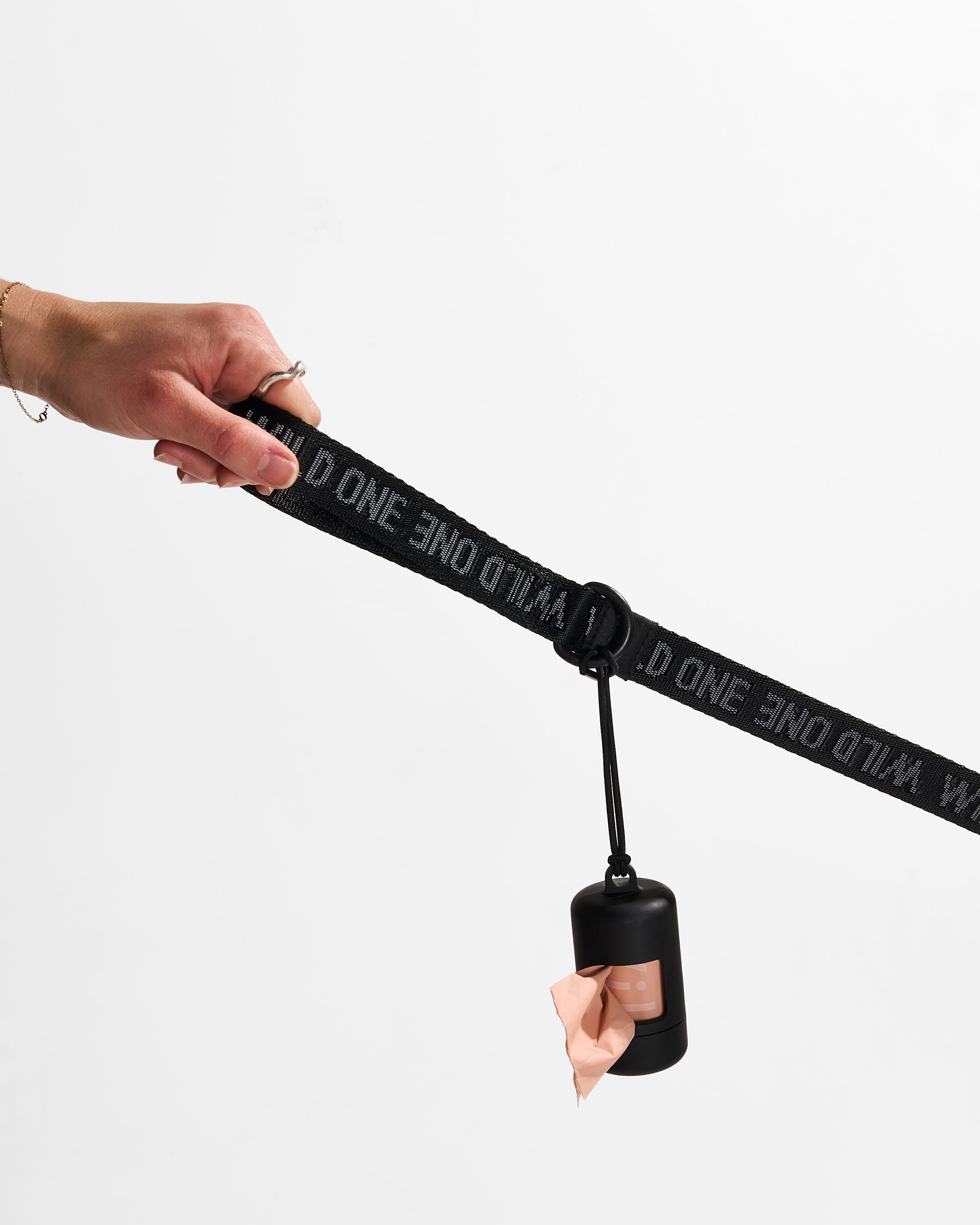 Lightweight Nylon Leash