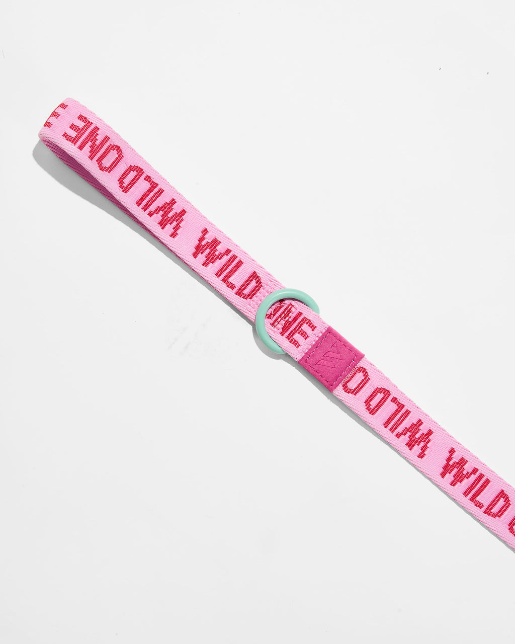 Lightweight Nylon Leash