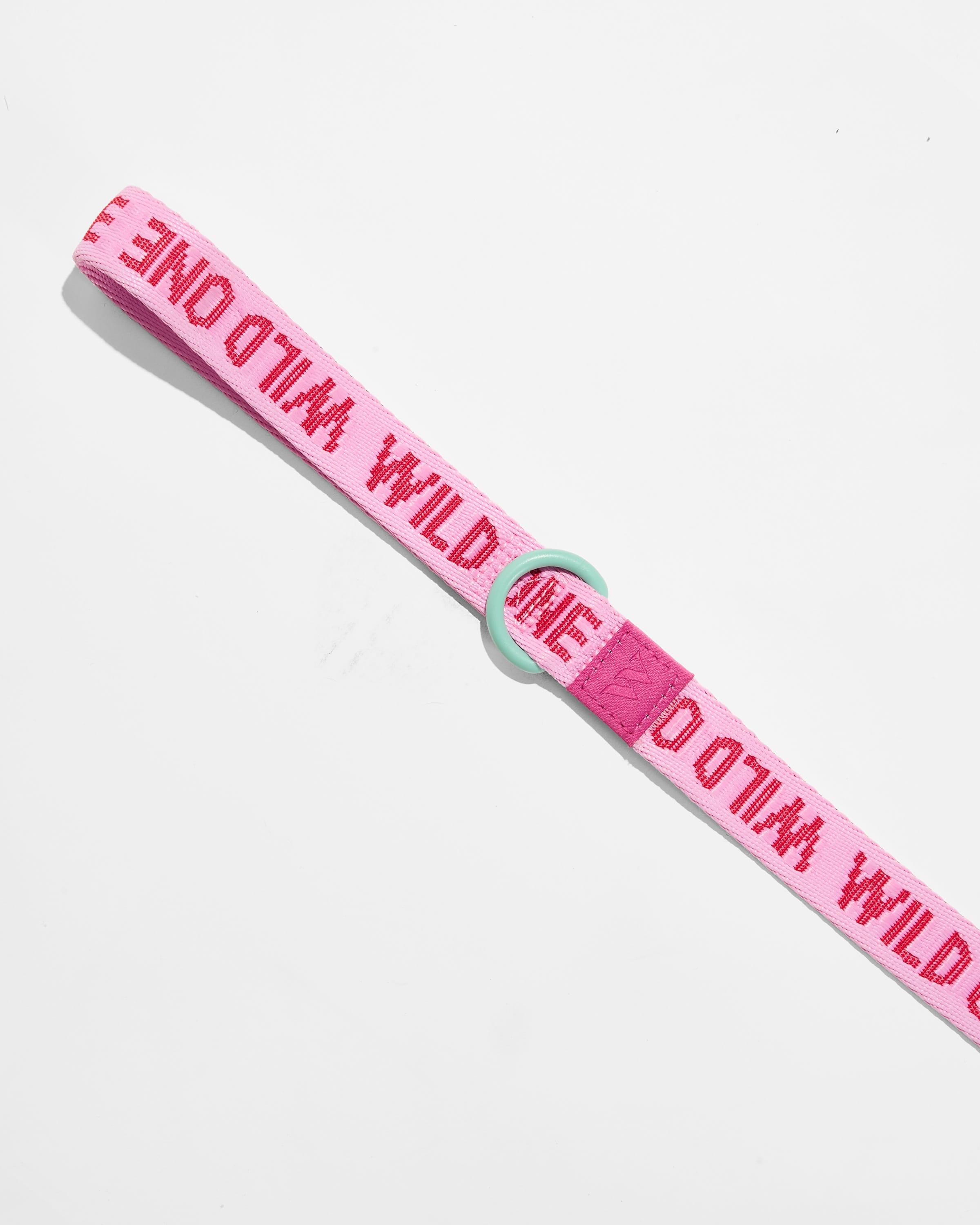 Lightweight Nylon Leash