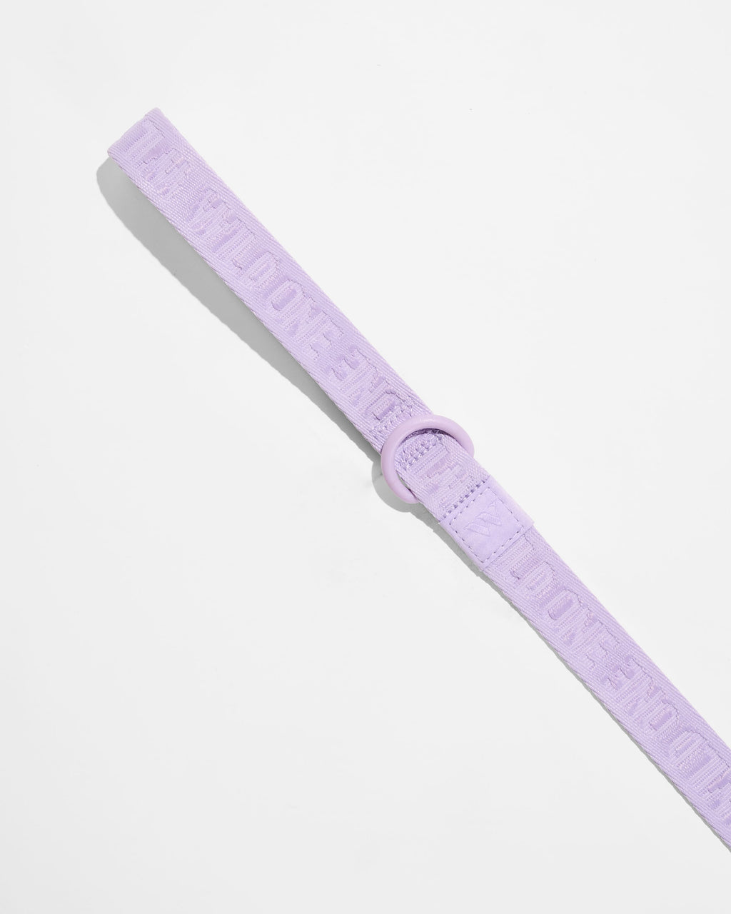 Lightweight Nylon Leash