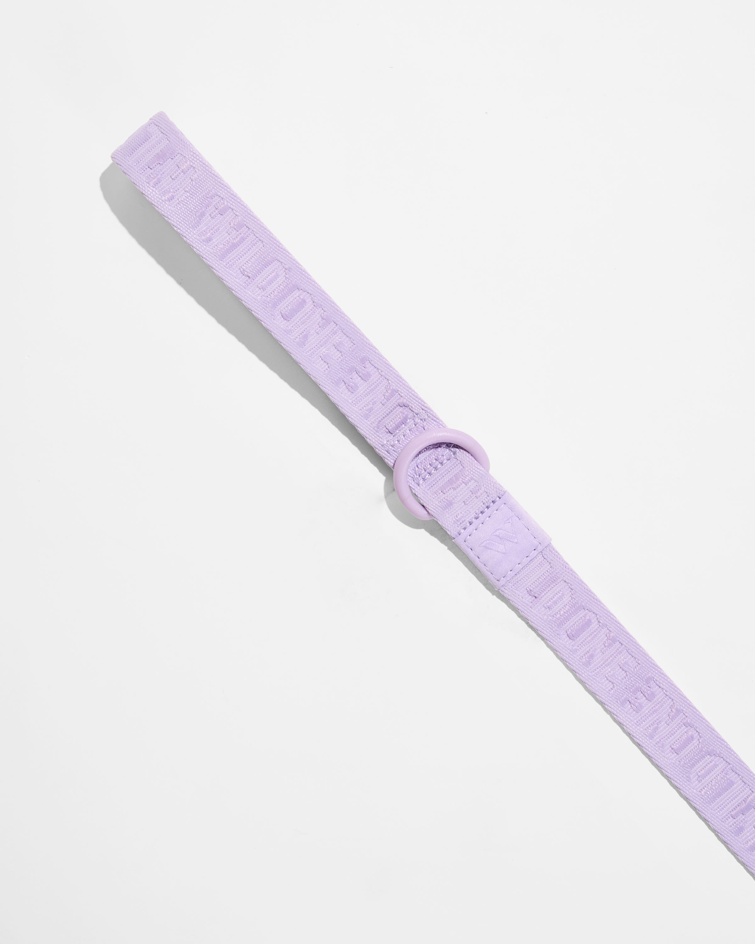 Lightweight Nylon Leash