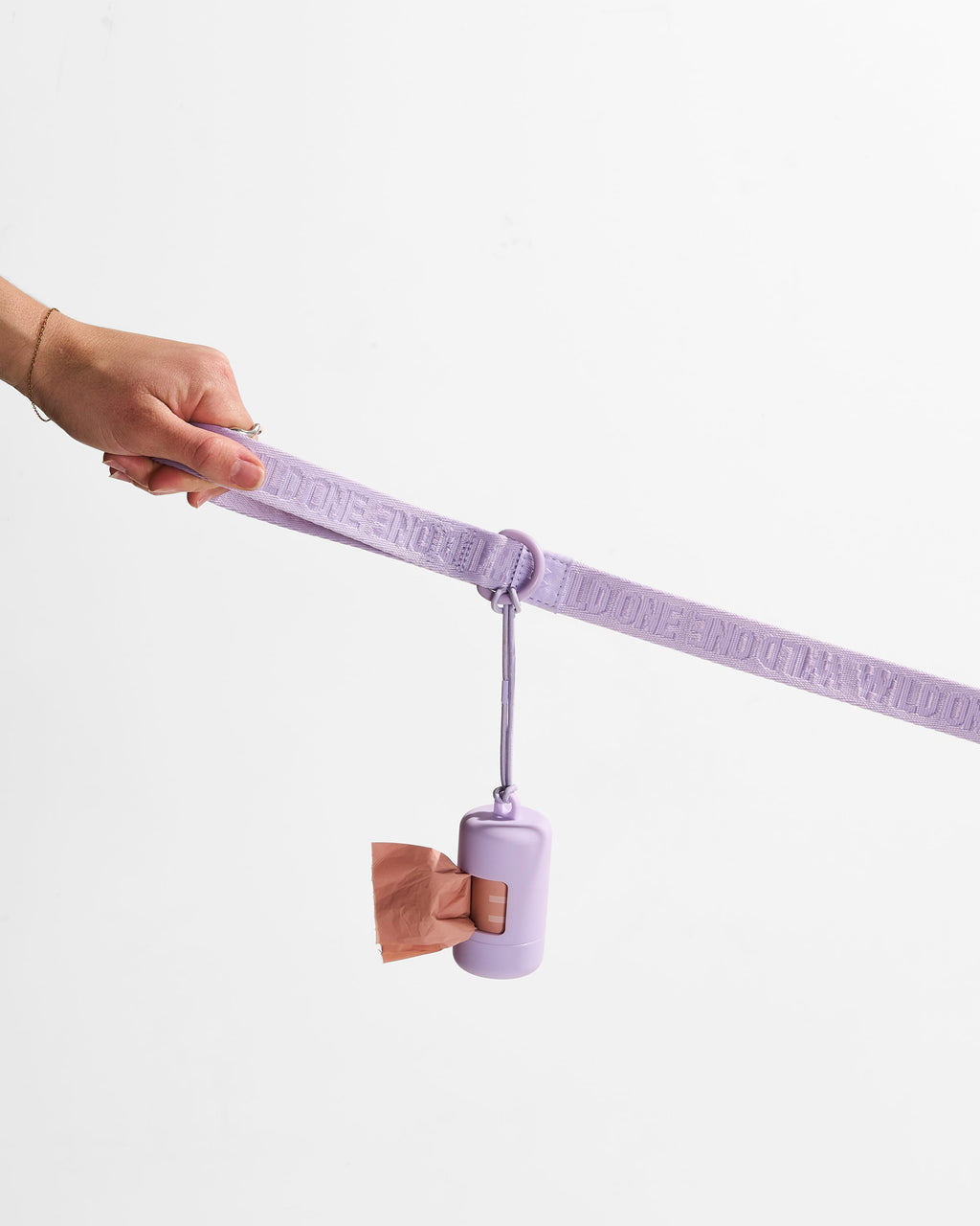 Lightweight Nylon Leash