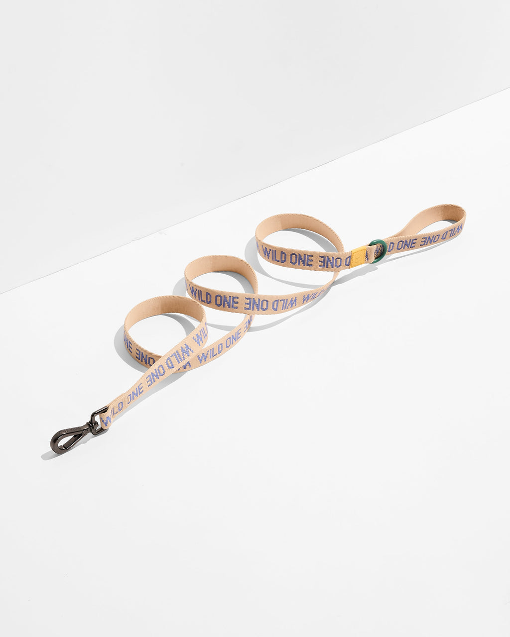 Lightweight Nylon Leash