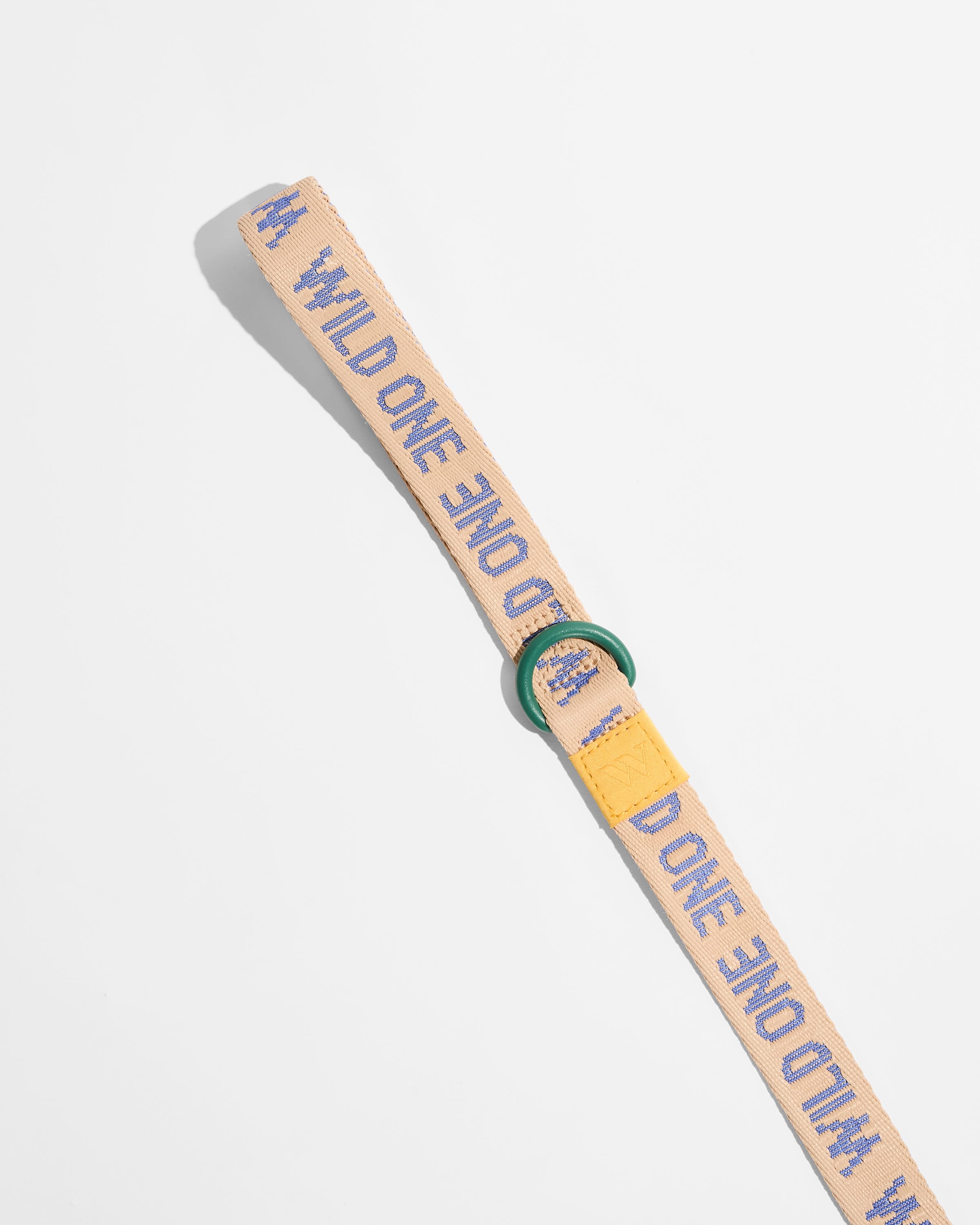 Lightweight Nylon Leash