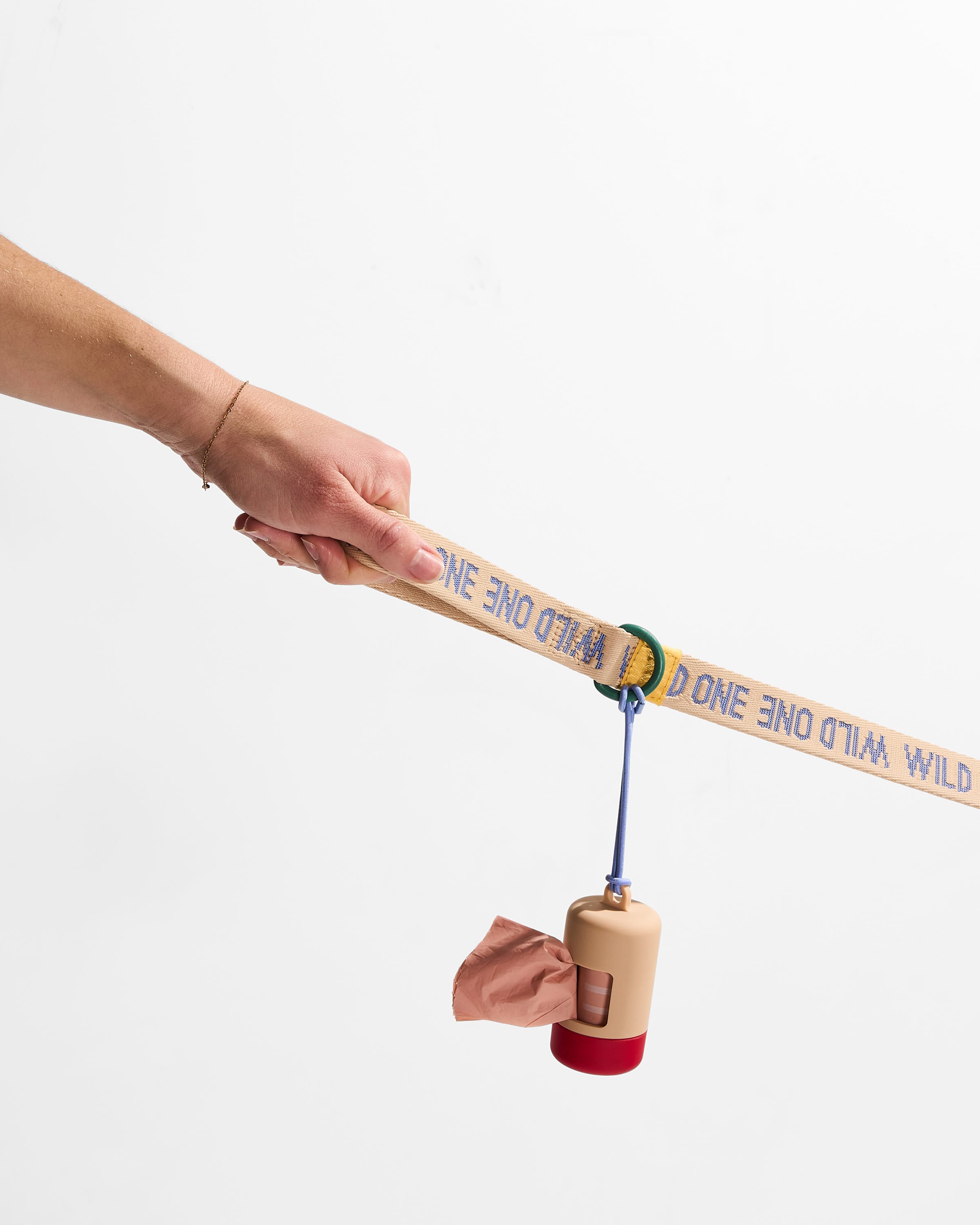 Lightweight Nylon Leash