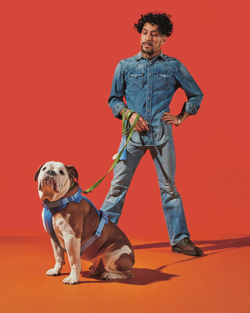 Cushioned Harness + Waterproof Leash Walk Kit