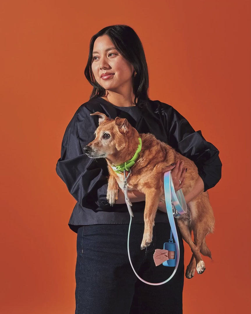 Waterproof Collar + Waterproof Leash Walk Kit